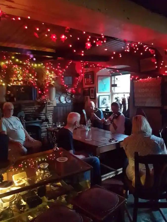 Kingfisher Lodge & Pub Castleconnell Zewnętrze zdjęcie