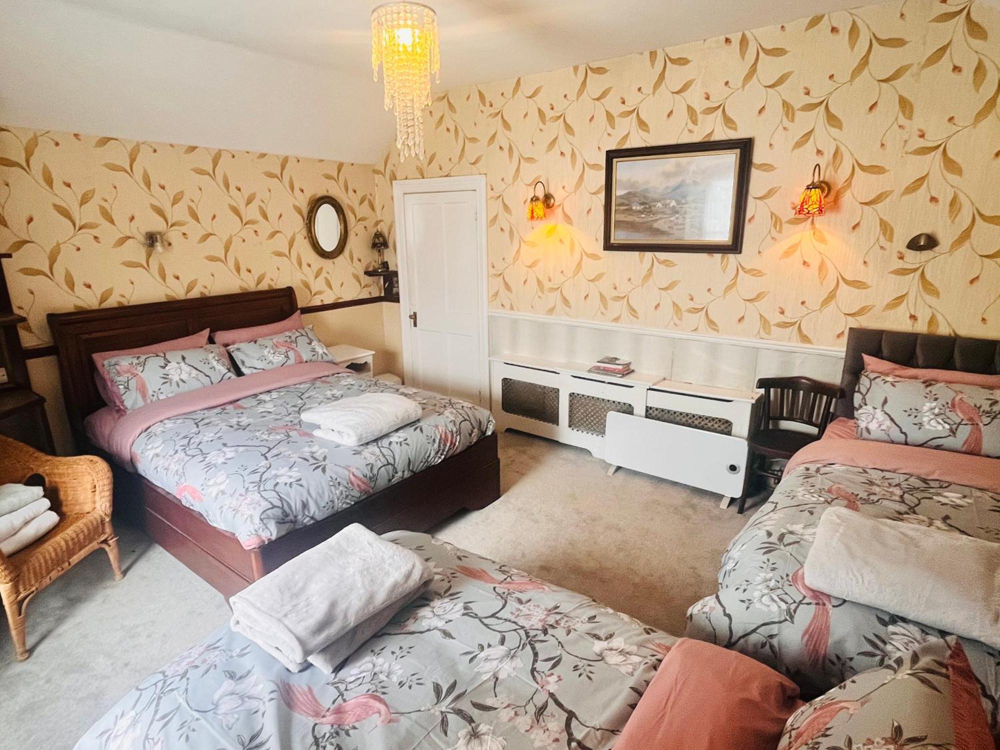 Kingfisher Lodge & Pub Castleconnell Pokój zdjęcie